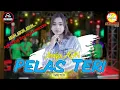 Download Lagu Asyifa Adn - Pelas Teri - Dhehan Music - DJ Remix Agoyang boskuah KALIMPA Cover
