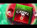Download Lagu Camel Ice Red - Freshtaste Watermelon Click