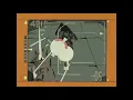 Pop Smoke - Hawk em (Slowed + Reverb)
