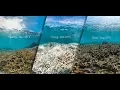 10 Major Current Environmental Problems