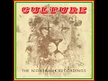 Can They Run Version