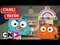 Download Lagu 🔴 CANLI 🔴 GUMBALL | 3. Sezon Tüm Bölümler | Cartoon Network Türkiye