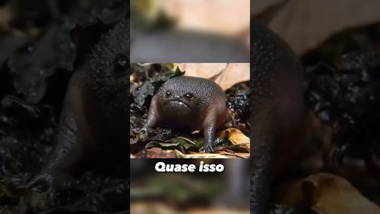 Vale a pena rir de novo   #tbt #casal #meme #humor