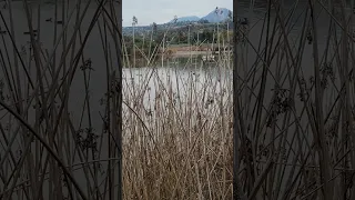 نامدیم از بهر نانبرج ه گدارویی مکن در بزم سلطان ساقیااول بگیر آن جام م ه بر کفه آن پیر ن هچون مس 