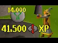 New nature runecrafting method WITHOUT diary cape