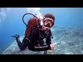 Download Lagu DIVING IN PULAU SIPADAN ! - SABAH - BORNEO -