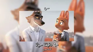 𝘼𝙨𝙨𝙖𝙡𝙖 60 𝘿𝙦𝙞𝙦𝙖 𝙃𝙖𝙞𝙖𝙝 أصالة ٦٠ دقيقة حياة 𝙎𝙥𝙚𝙙 𝙪𝙥 مسرعه 