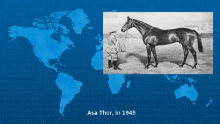 Triple Crown Of Thoroughbred Racing - Wiki