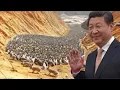 Download Lagu Here's Why China Relocated 1 Million Rabbits to the Desert , 1 Year Later the World Was Shocked