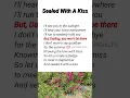 Download Lagu Sealed With A Kiss | Emily Linge