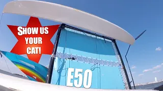 Show us your cat! Episode 50! USA