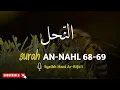 MAASYAALLAH ❗️❗️ Bacaan Merdu surah An-Nahl 68-69 🎙 Syeikh Hani Ar-Rifa'i