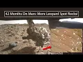 Lagu 42 maanden op Mars: meer luipaardvlekken!