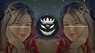 كاش كوبتر ميبودم أهنكـ احساس عاشقة ترند التيك توك والانستا Arabic Remix Song 