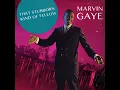 Hitch Hike - Marvin Gaye