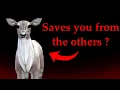 Download Lagu This Wildcraft Creepypasta Works Against The Others | Lily Doe 