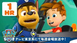 パウ・パトロール | パウ・パトロール BABYレスキュー！#11 スカイ＆ベビー・ハムディンガー！| 🐱 90分 | テレビ東京系にて放送中
