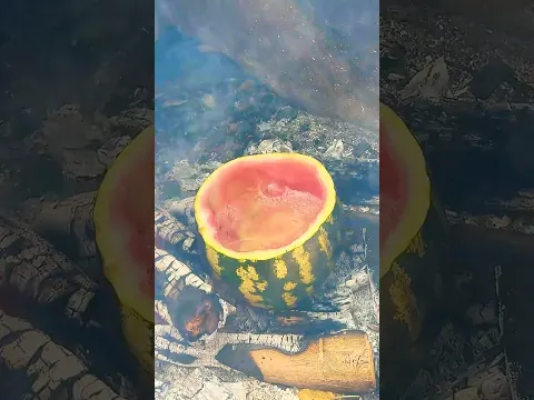 Girl Watermelon Survival Idea π #camping #outdoors #hack #adventure #survival #skills #bushcraft