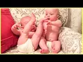 Lagu Best Twin Babies Of Year 2022 Collection || Funny Baby Videos