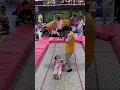 Download Lagu The Star River is not as bright as your eyes, the Sky City Trampoline Rock Climbing Hall Kunming