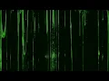 Drake "Slime You Out" ft. SZA (Visualizer)