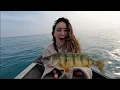 Summer Fishing Perch and Walleye on Lake St Clair