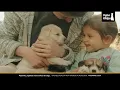 Paleo Plus Optimum Raw Nutrition for Dogs