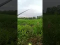 Download Lagu Mancing sambil menikmati suasana alam di sawah | Mancing | Sawah #mancing #sawah