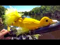 Download Lagu Fishing A Duck Lure For MONSTER Pike!