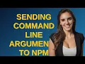 Sending command line arguments to npm script