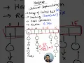 Day of Noob to Pro in Java Hash collision