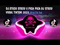Download Lagu DJ STECU STECU X PICA PICA || DJ STECU VIRAL TIKTOK 2025