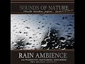 Rain Ambience