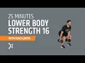 Lower Body Strength 16