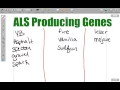 Ball Python Genetics 101 - Episode 3
