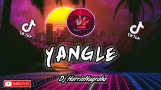 bikin ngeflay dj yangle harrisnugraha new remix slow 2020 full 