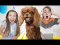 Download Lagu Evie Our Talking Dog!
