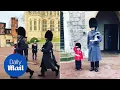 Download Lagu Four-year-old boy salutes next to guardsman at Windsor Castle - Daily Mail