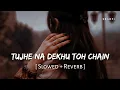 Lagu Tujhe Na Dekhu Toh Chain (Slowed + Reverb) | Kumar Sanu, Alka yagnik | Rang | SR Lofi