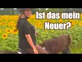 Lagu Ist das mein Neuer? ♥