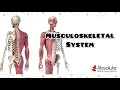 Musculoskeletal System CPT Medical Coding for the CPC and CCS Exams - Re-released