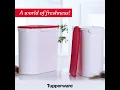 Tupperware Multikeeper big containers
