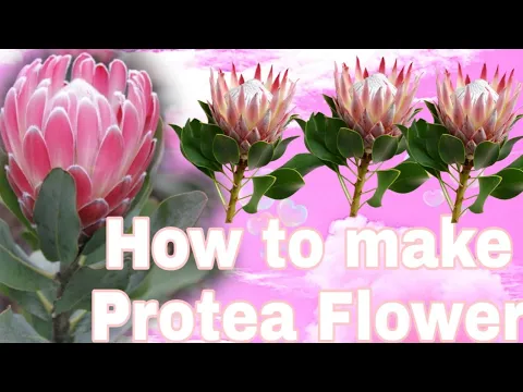 Download MP3 How to make Protea Flower (National Flower for South Africa