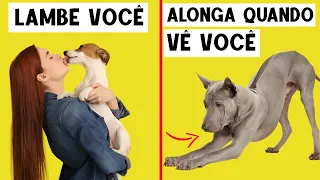 15 Comportamentos de Cão Explicados – Por Que Seu Cachorro Faz Isso!