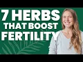 Best Herbal Supplements for Fertility Trying to Conceive