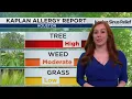 What is Cedar fever and how is it different from seasonal allergies