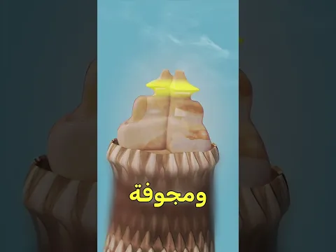 🐍 سر الخشخيشة اللي في ديل الثعبان! 😱🔊 #shortvideo