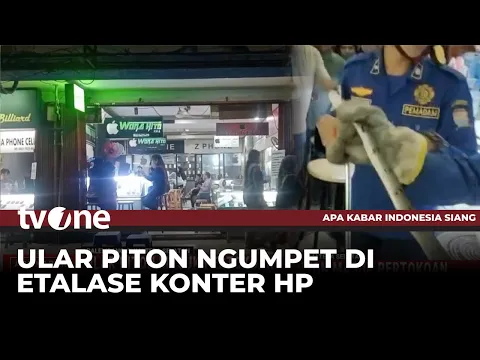 Panik! Bukannya Pelanggan, Toko Ponsel Malah Didatangi Ular Piton