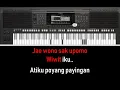 Download Lagu TAK ELENG ELENG MANTHOUS KARAOKE