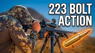 5 Reasons A 223 Bolt Action Is Great To Have